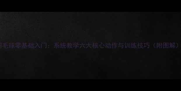 图片 羽毛球零基础入门：系统教学六大核心动作与训练技巧（附图解）2