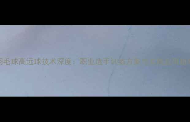 图片 羽毛球高远球技术深度：职业选手训练方案与实战应用指南