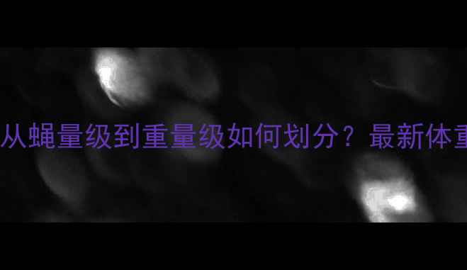 图片 职业拳击级别划分全：从蝇量级到重量级如何划分？最新体重标准及赛事规则详解1