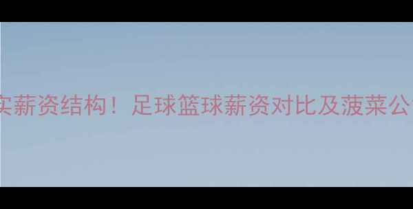 图片 职业球员真实薪资结构！足球篮球薪资对比及菠菜公司数据参考2