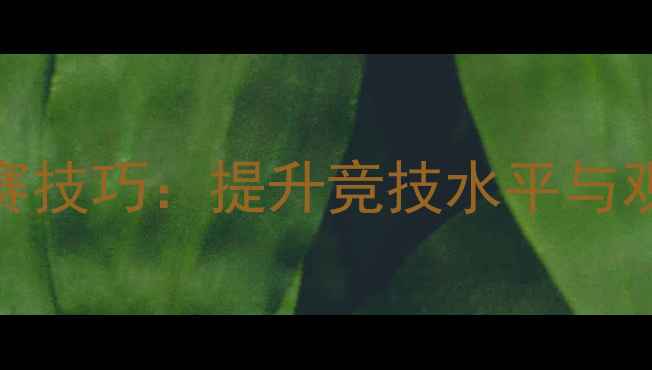 图片 职业羽毛球对抗赛技巧：提升竞技水平与观赏性的实战指南