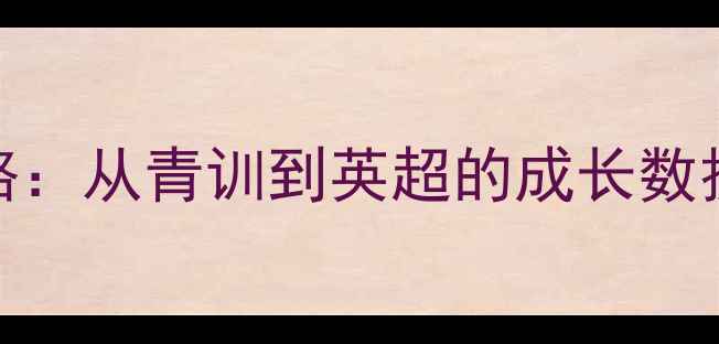 图片 职业足球新星Matos的逆袭之路：从青训到英超的成长数据与传奇故事（附最新动态）2