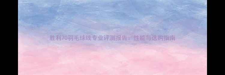 图片 胜利70羽毛球线专业评测报告：性能与选购指南