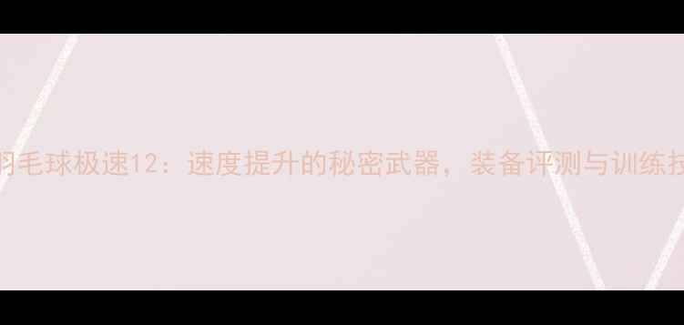 图片 胜利羽毛球极速12：速度提升的秘密武器，装备评测与训练技巧全