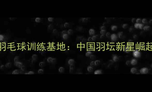 图片 苍南羽毛球训练基地：中国羽坛新星崛起之路