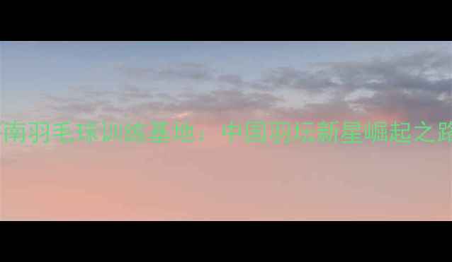 图片 苍南羽毛球训练基地：中国羽坛新星崛起之路1