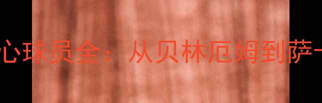 图片 英格兰国家队现役核心球员全：从贝林厄姆到萨卡，谁将主宰未来？2
