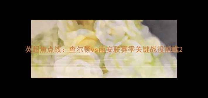 图片 英超焦点战：查尔顿vs南安联赛季关键战役前瞻2