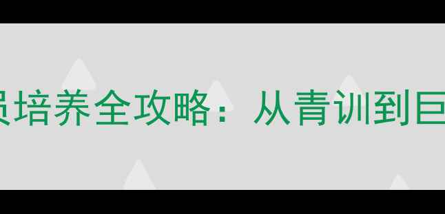 图片 范特西篮球经理球员培养全攻略：从青训到巨星之路的实战指南1