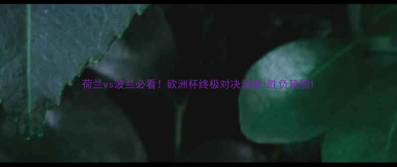 图片 荷兰vs波兰必看！欧洲杯终极对决深度+胜负预测1