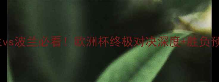 图片 荷兰vs波兰必看！欧洲杯终极对决深度+胜负预测2