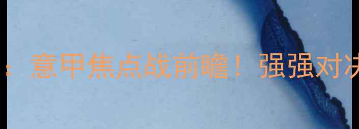 图片 莱切城vs维拉：意甲焦点战前瞻！强强对决谁主沉浮？1