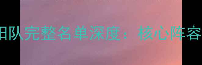 图片 菲尼克斯太阳队完整名单深度：核心阵容与未来展望2
