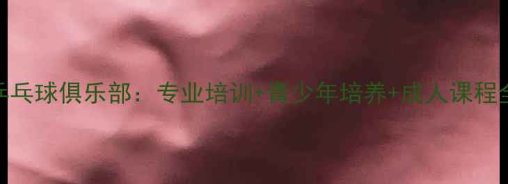 图片 蚌埠乒乓球俱乐部：专业培训+青少年培养+成人课程全攻略