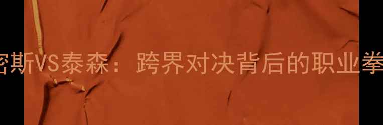 图片 詹姆斯·史密斯VS泰森：跨界对决背后的职业拳击格局重塑2