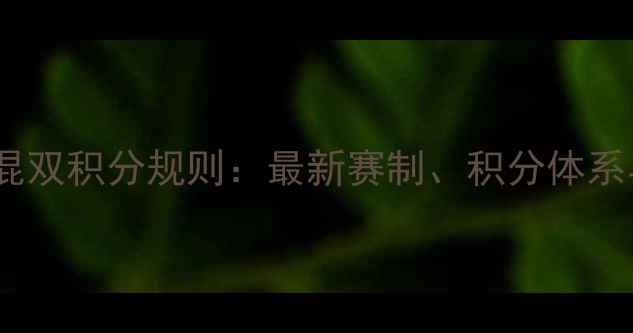 图片 赛季乒乓球混双积分规则：最新赛制、积分体系与排名变化1