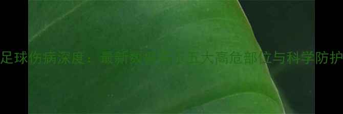图片 赛季足球伤病深度：最新数据揭示五大高危部位与科学防护指南