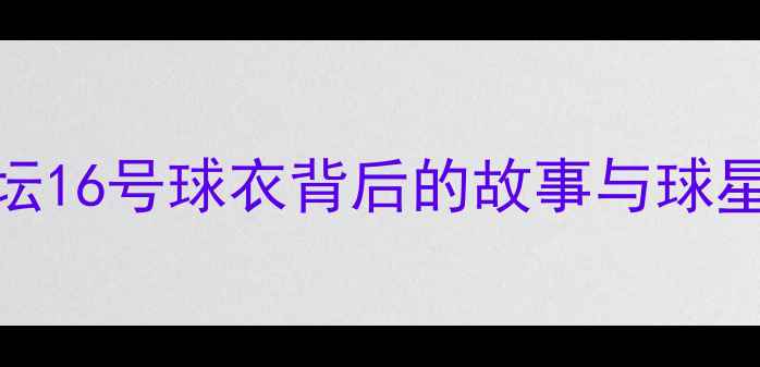 图片 足坛16号传奇：全球足坛16号球衣背后的故事与球星表现分析（最新数据）