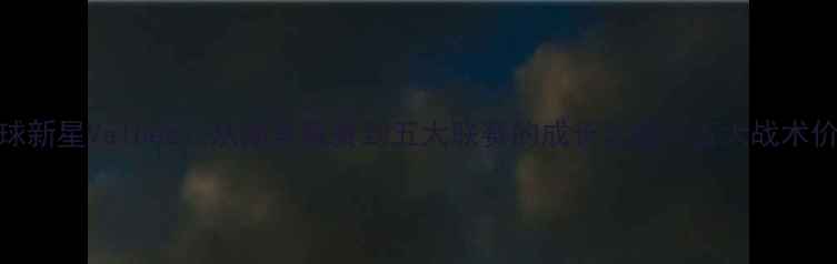 图片 足球新星Valdez：从南美联赛到五大联赛的成长之路与五大战术价值