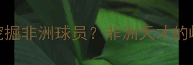 图片 足球经理游戏如何挖掘非洲球员？非洲天才的崛起之路与实战价值