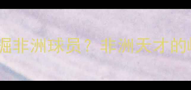 图片 足球经理游戏如何挖掘非洲球员？非洲天才的崛起之路与实战价值1