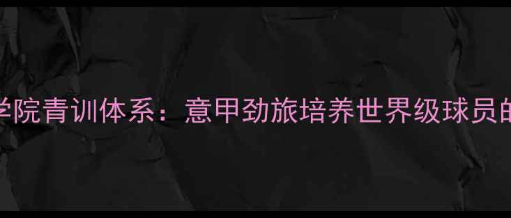 图片 都灵体育学院青训体系：意甲劲旅培养世界级球员的成功之道