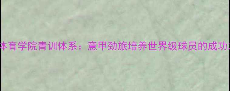 图片 都灵体育学院青训体系：意甲劲旅培养世界级球员的成功之道1