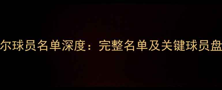 图片 里尔球员名单深度：完整名单及关键球员盘点