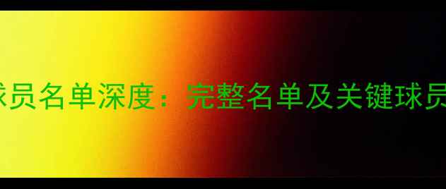 图片 里尔球员名单深度：完整名单及关键球员盘点1