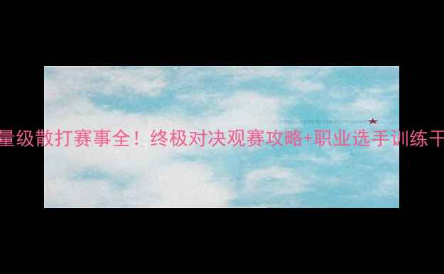 图片 重量级散打赛事全！终极对决观赛攻略+职业选手训练干货