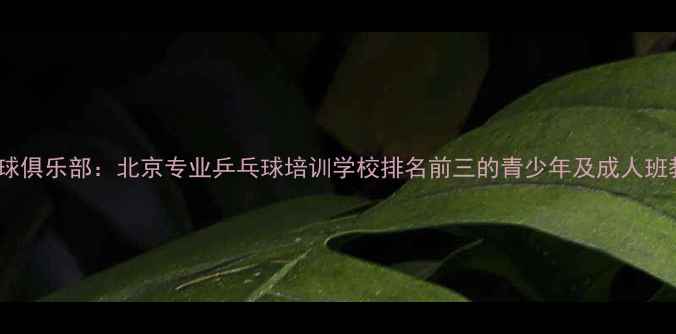 图片 金亚乒乓球俱乐部：北京专业乒乓球培训学校排名前三的青少年及成人班教学实践2