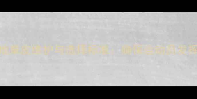 图片 铅球比赛场地草皮维护与选择标准：确保运动员发挥的五大要素