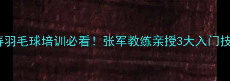 图片 长春羽毛球培训必看！张军教练亲授3大入门技巧2