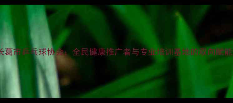 图片 长葛市乒乓球协会：全民健康推广者与专业培训基地的双向赋能2