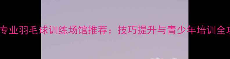 图片 阳江专业羽毛球训练场馆推荐：技巧提升与青少年培训全攻略1
