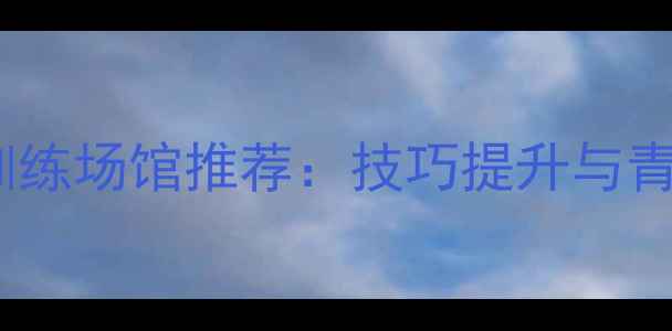 图片 阳江专业羽毛球训练场馆推荐：技巧提升与青少年培训全攻略2