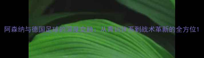 图片 阿森纳与德国足球的深度交融：从青训体系到战术革新的全方位1