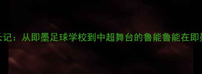 图片 青岛青训精英成长记：从即墨足球学校到中超舞台的鲁能鲁能在即墨的足球青训体系