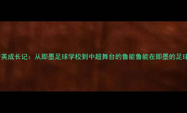 图片 青岛青训精英成长记：从即墨足球学校到中超舞台的鲁能鲁能在即墨的足球青训体系1