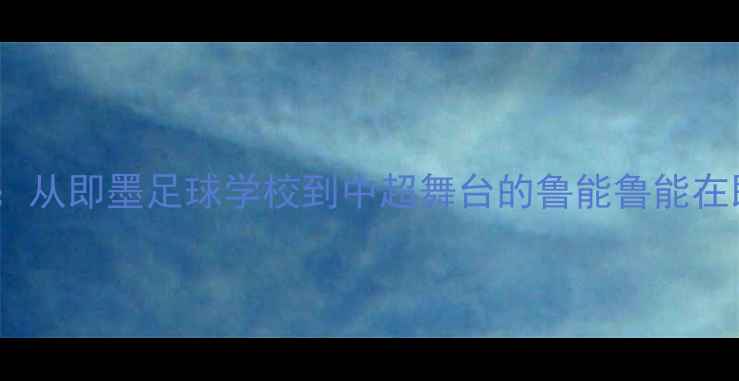 图片 青岛青训精英成长记：从即墨足球学校到中超舞台的鲁能鲁能在即墨的足球青训体系2