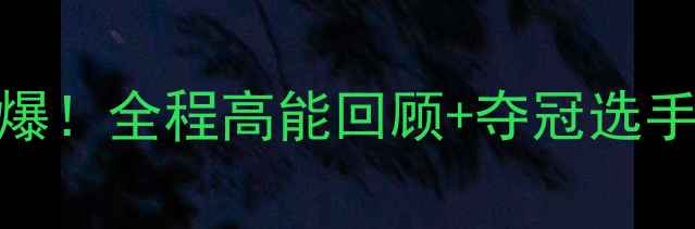 图片 鞍山市跆拳道比赛燃爆！全程高能回顾+夺冠选手采访+观众直击视频2