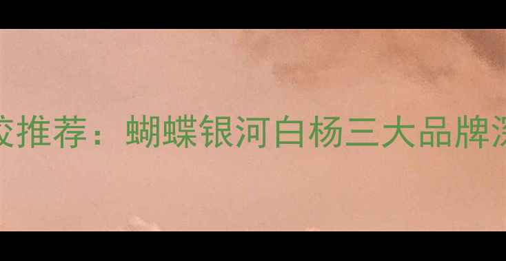 图片 韩国进口乒乓球套胶推荐：蝴蝶银河白杨三大品牌深度评测与选购指南