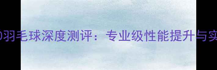 图片 风洞4000羽毛球深度测评：专业级性能提升与实战体验2