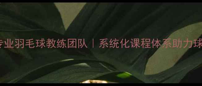图片 香港仔专业羽毛球教练团队｜系统化课程体系助力球技提升2