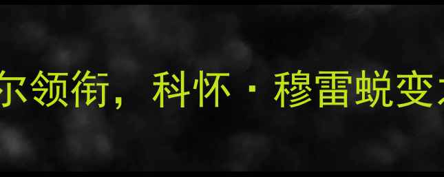 图片 马刺队深度：珀尔特尔领衔，科怀·穆雷蜕变之路与团队战术升级1