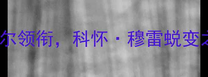 图片 马刺队深度：珀尔特尔领衔，科怀·穆雷蜕变之路与团队战术升级2