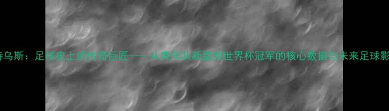 图片 马特乌斯：足球史上的传奇巨匠——从青年队新星到世界杯冠军的核心数据与未来足球影响2