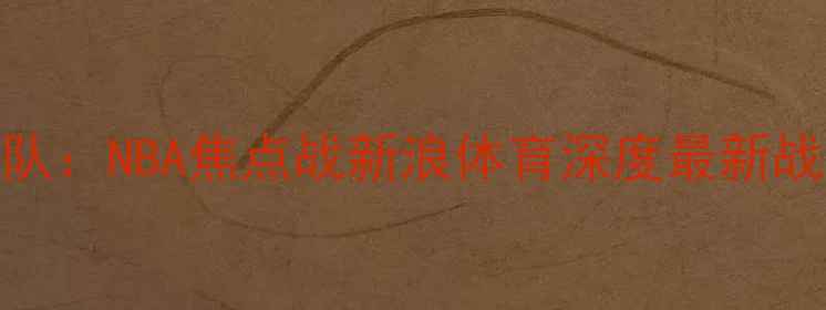 图片 骑士队vs奇才队：NBA焦点战新浪体育深度最新战报与赛事前瞻