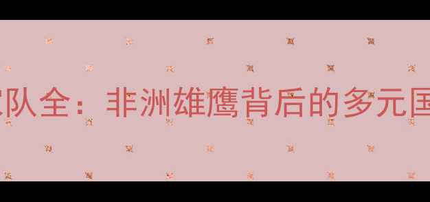 图片 🌍🇲🇦摩洛哥国家队全：非洲雄鹰背后的多元国籍与足球基因🏆1