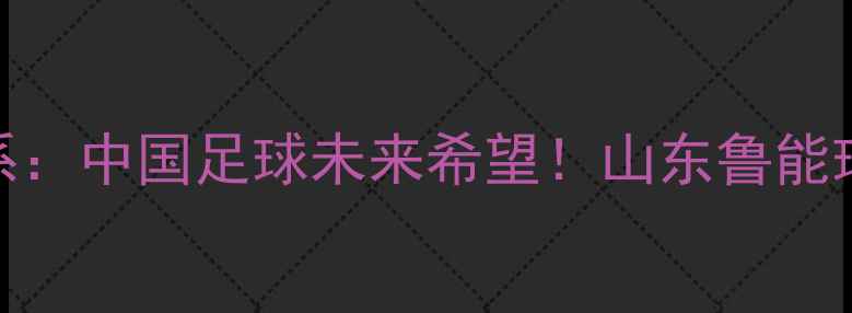 图片 🌟山东鲁能青训体系：中国足球未来希望！山东鲁能球员发展现状如何？